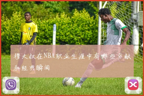 穆大叔在NBA职业生涯中有哪些贡献和经典瞬间